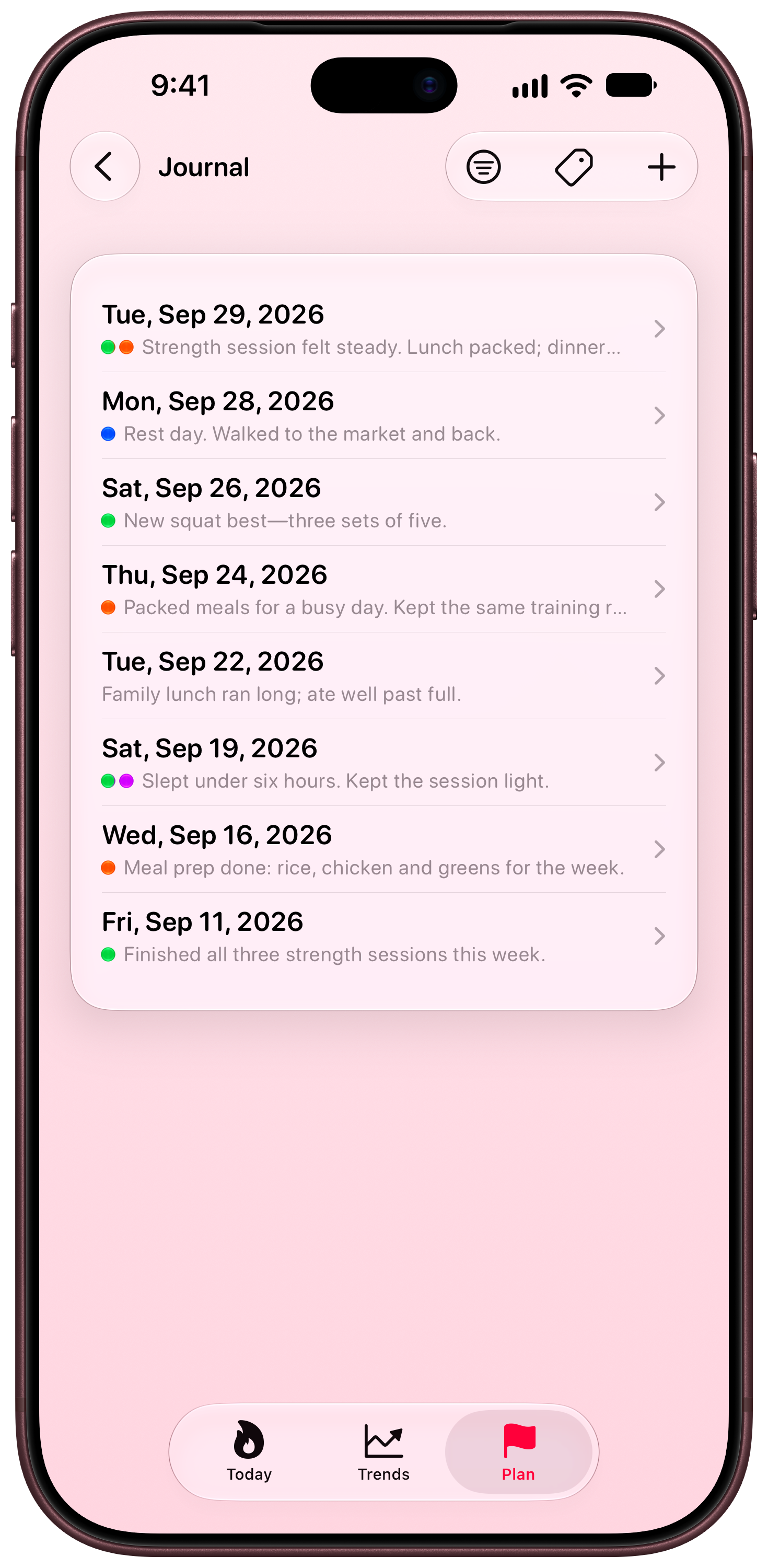 Burn Rate on iPhone 18 Pro Max showing Journal in the Pink tint, light appearance.