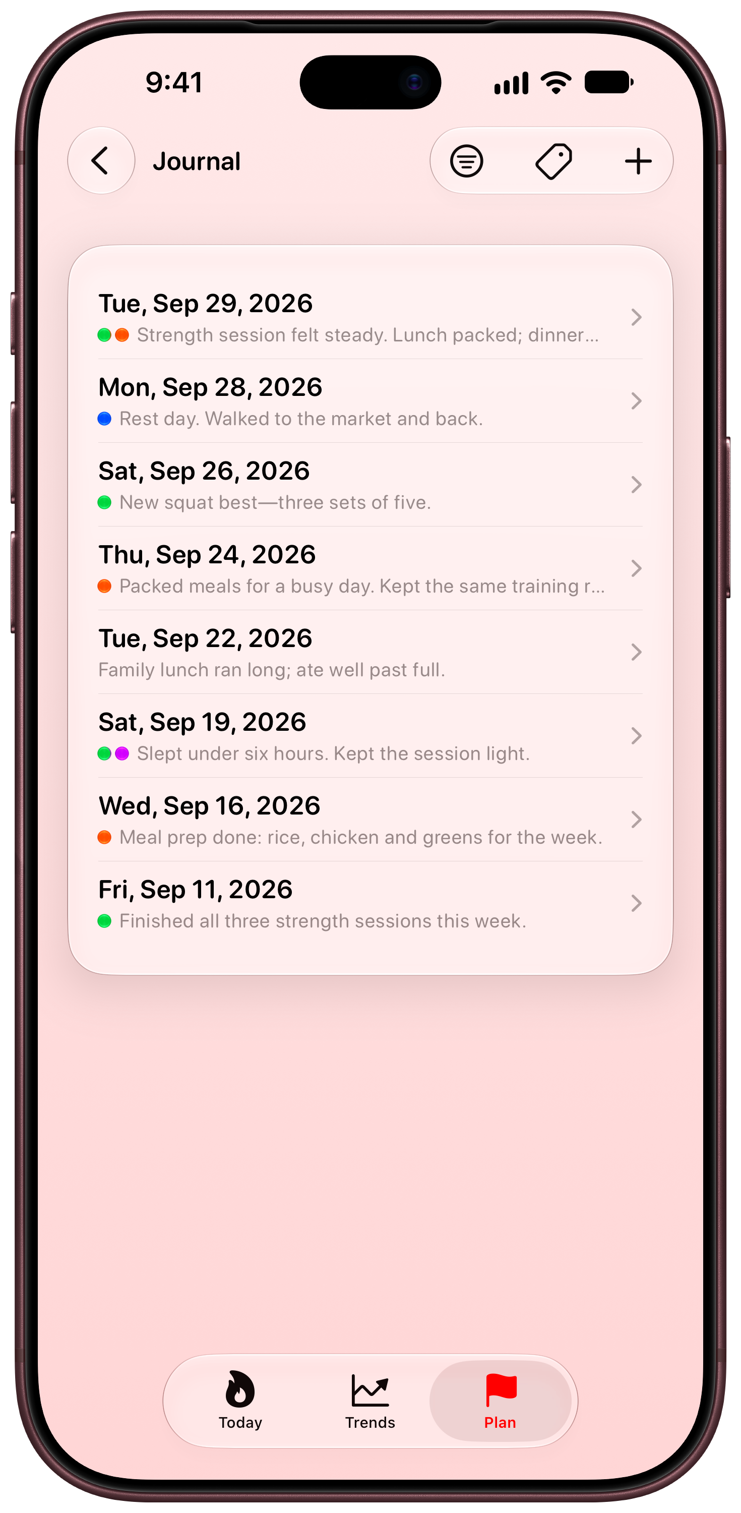 Burn Rate on iPhone 18 Pro Max showing Journal in the Red tint, light appearance.