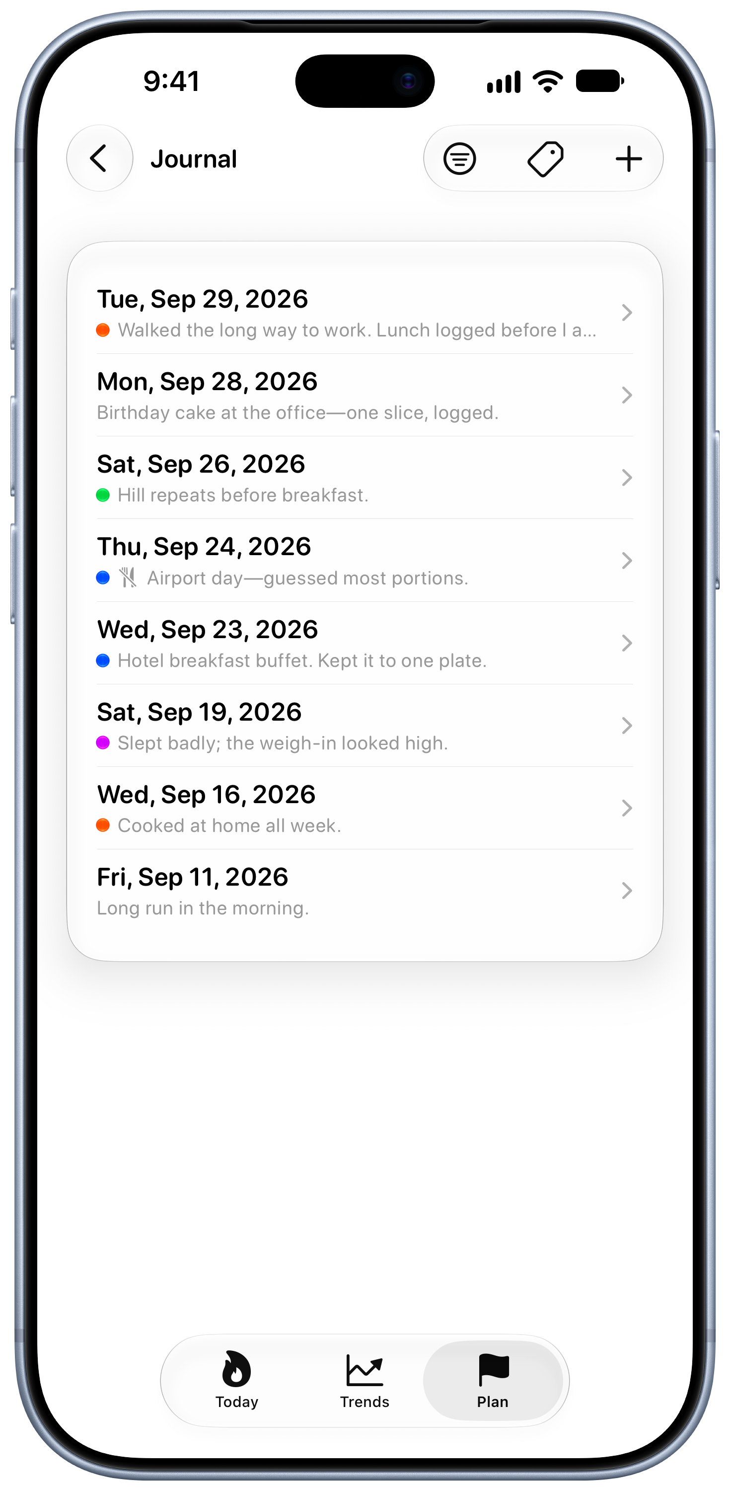 Burn Rate on iPhone 18 Pro Max showing Journal in the Grey tint, light appearance.