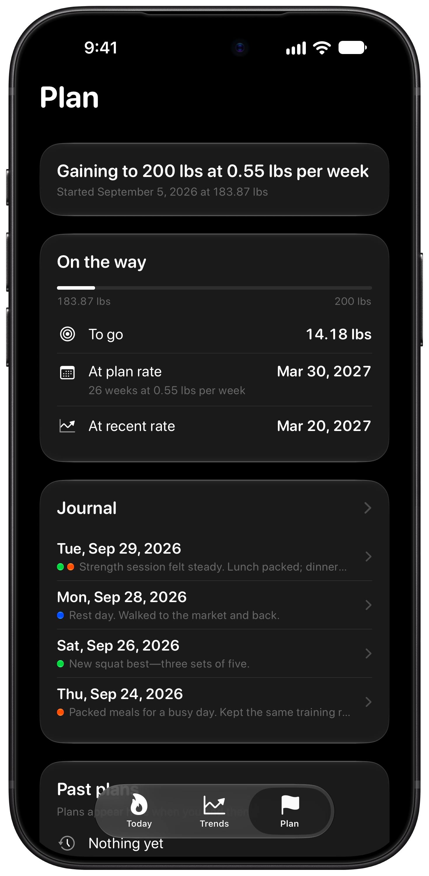 Burn Rate on iPhone 18 Pro Max showing Plan in the Grey tint, dark appearance.