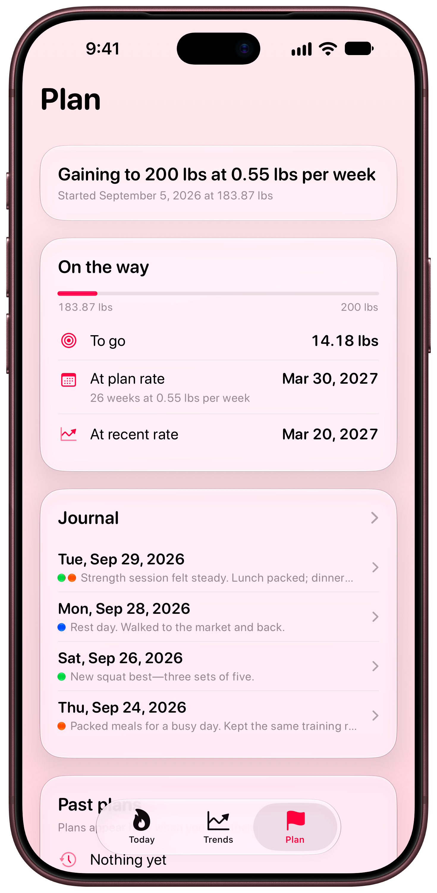 Burn Rate on iPhone 18 Pro Max showing Plan in the Pink tint, light appearance.