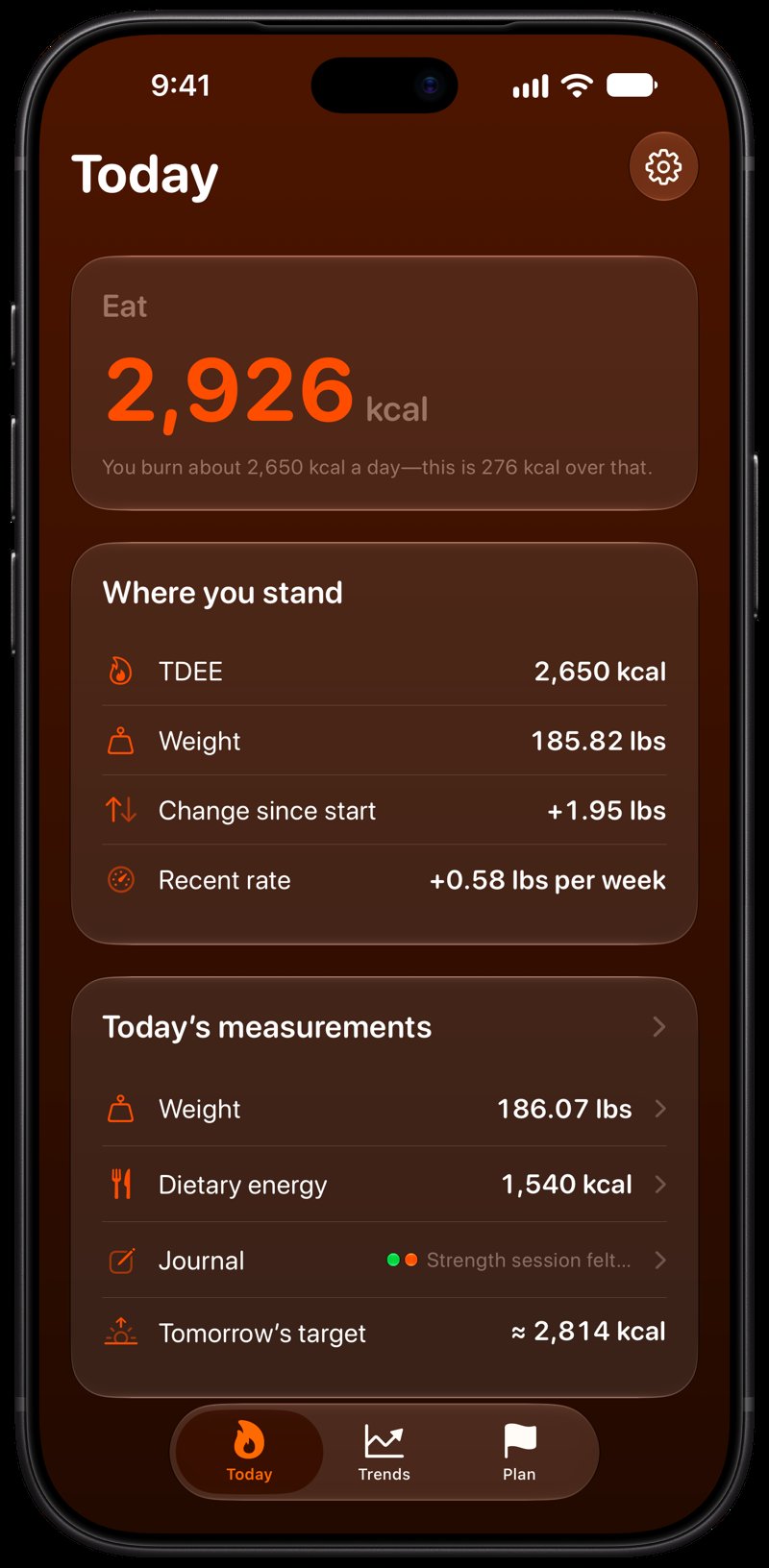 Burn Rate on iPhone 18 Pro Max showing Home in the Orange tint, dark appearance.