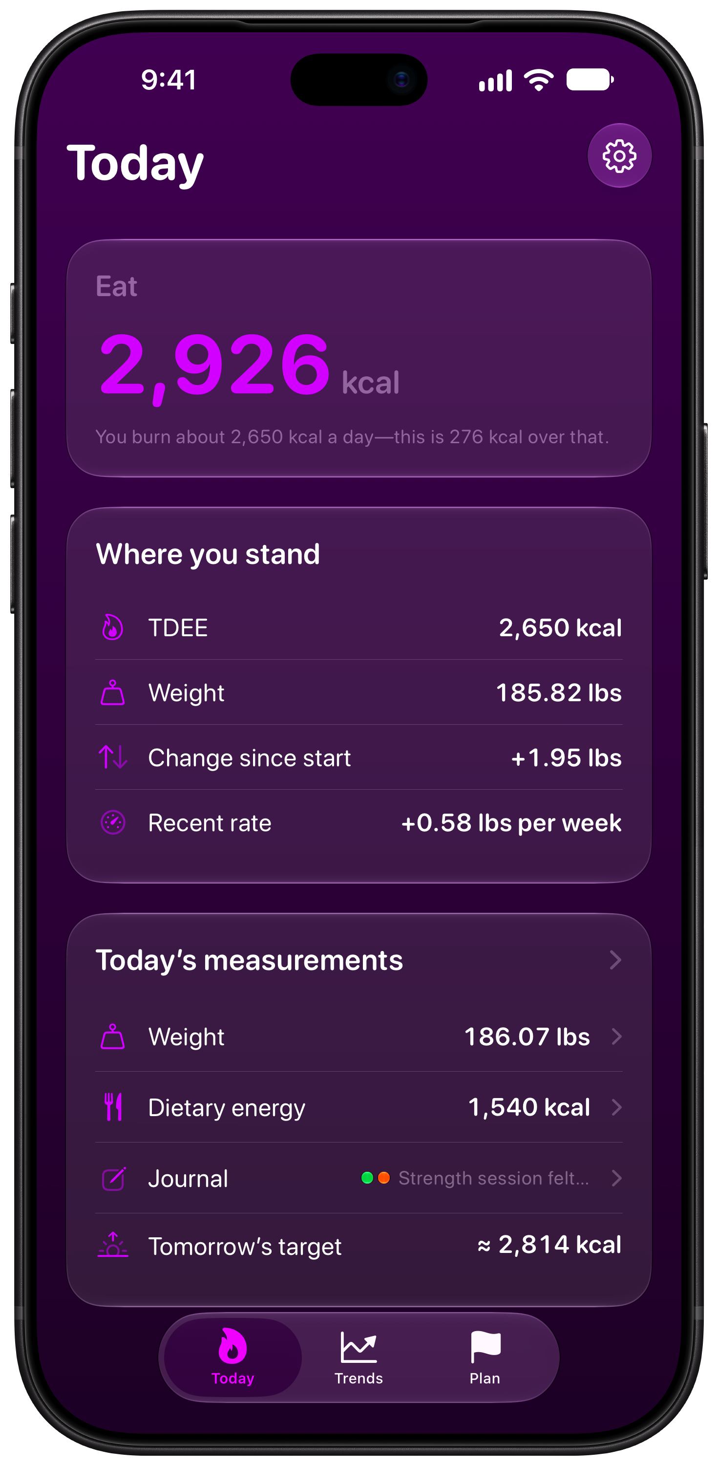 Burn Rate on iPhone 18 Pro Max showing Home in the Purple tint, dark appearance.