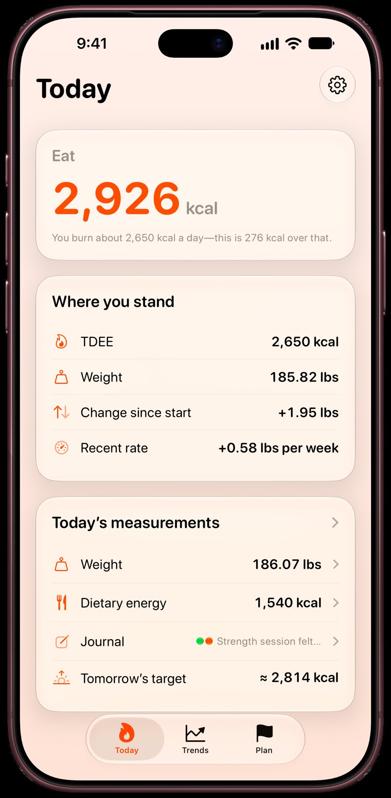 Burn Rate on iPhone 18 Pro Max showing Home in the Orange tint, light appearance.
