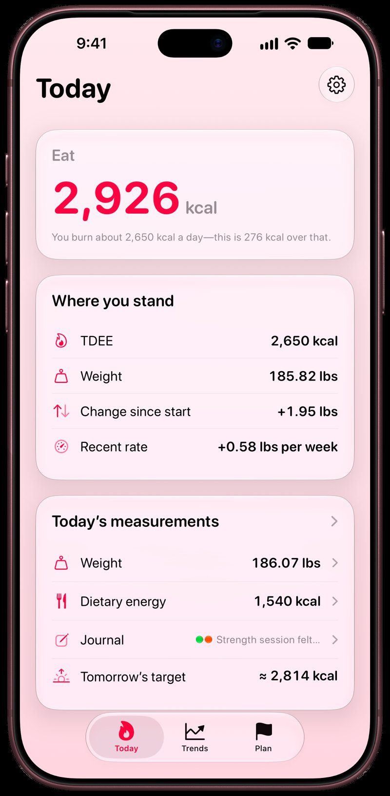 Burn Rate on iPhone 18 Pro Max showing Home in the Pink tint, light appearance.