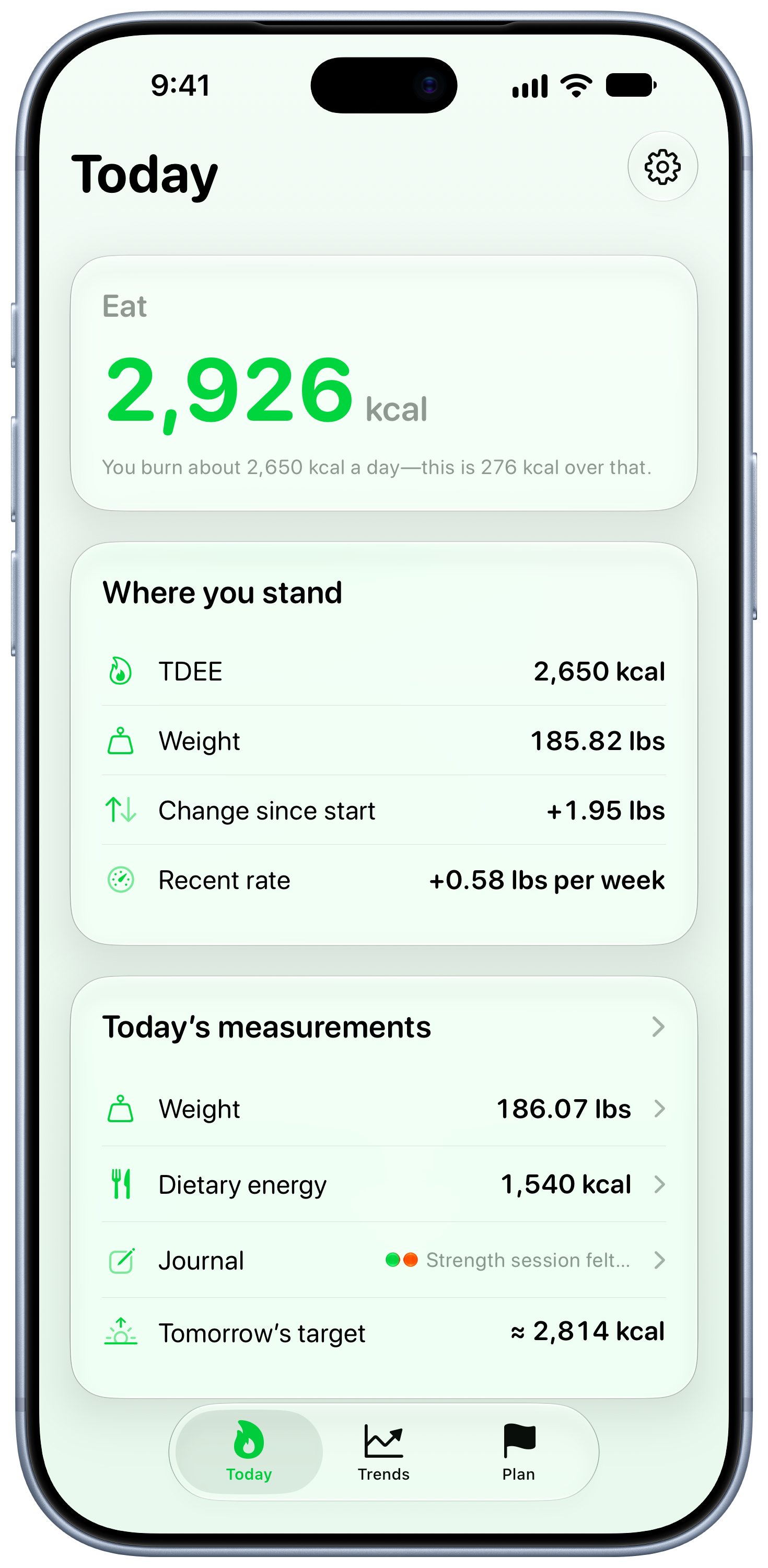 Burn Rate on iPhone 18 Pro Max showing Home in the Green tint, light appearance.