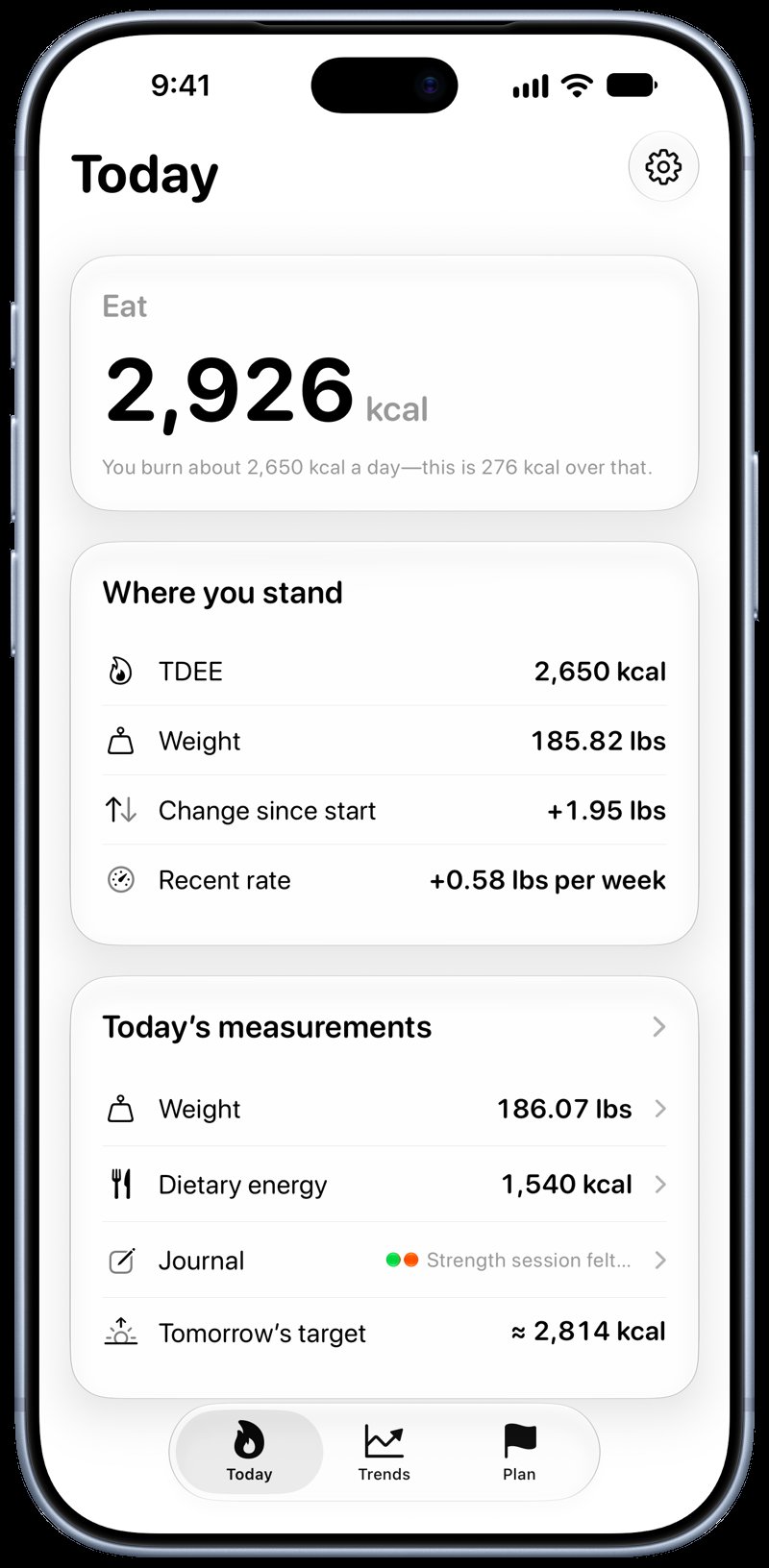 Burn Rate on iPhone 18 Pro Max showing Home in the Grey tint, light appearance.