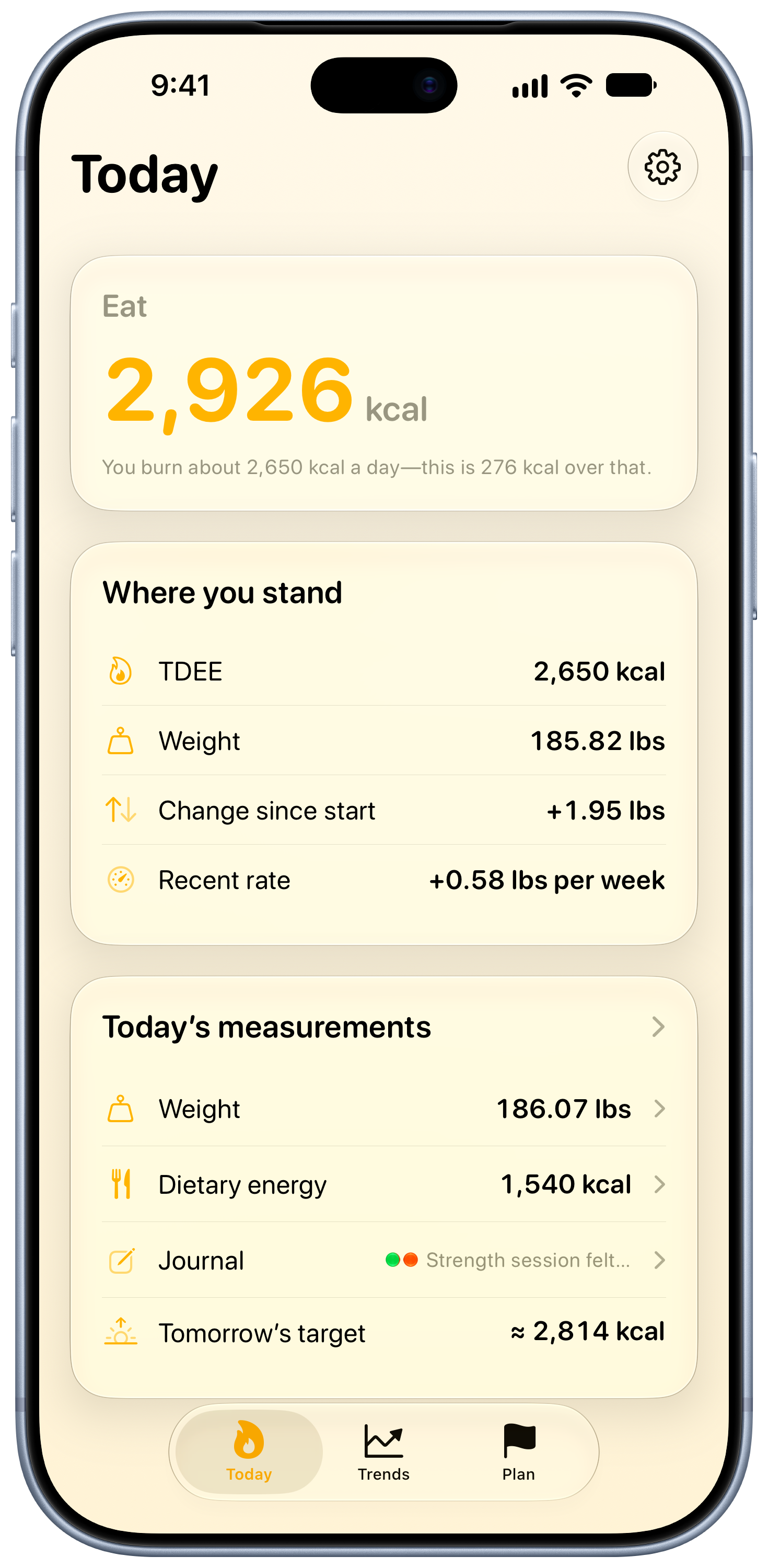 Burn Rate on iPhone 18 Pro Max showing Home in the Yellow tint, light appearance.