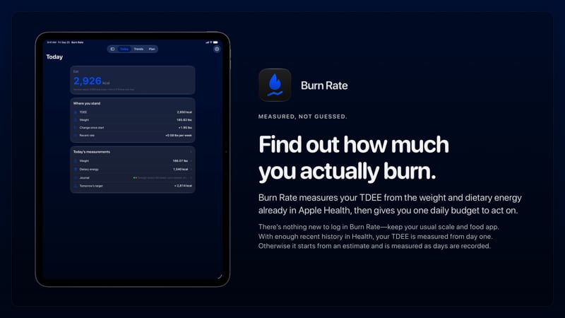 The Burn Rate share image, showing the app on iPad Pro 13-inch with its icon, name and headline for the gain story, in the Blue tint, dark appearance.
