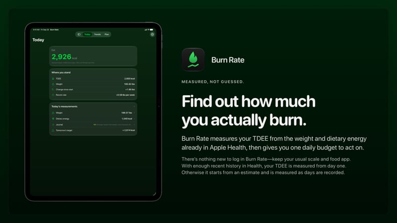 The Burn Rate share image, showing the app on iPad Pro 13-inch with its icon, name and headline for the gain story, in the Green tint, dark appearance.