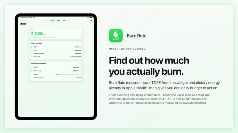 The Burn Rate share image, showing the app on iPad Pro 13-inch with its icon, name and headline for the gain story, in the Green tint, light appearance.