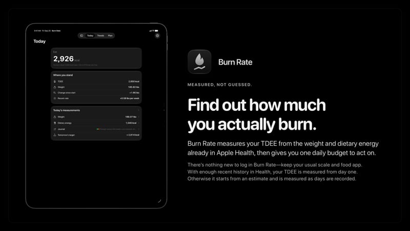 The Burn Rate share image, showing the app on iPad Pro 13-inch with its icon, name and headline for the gain story, in the Grey tint, dark appearance.
