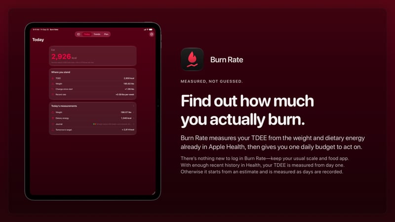 The Burn Rate share image, showing the app on iPad Pro 13-inch with its icon, name and headline for the gain story, in the Pink tint, dark appearance.