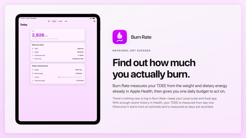 The Burn Rate share image, showing the app on iPad Pro 13-inch with its icon, name and headline for the gain story, in the Purple tint, light appearance.