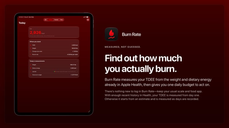 The Burn Rate share image, showing the app on iPad Pro 13-inch with its icon, name and headline for the gain story, in the Red tint, dark appearance.