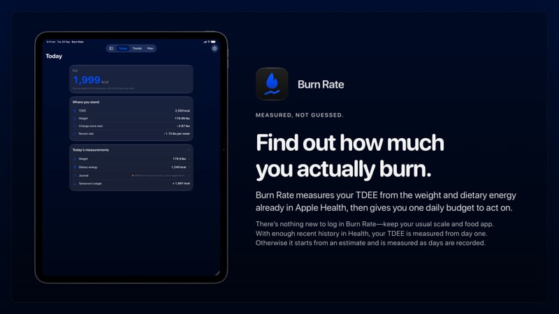 The Burn Rate share image, showing the app on iPad Pro 13-inch with its icon, name and headline for the loss story, in the Blue tint, dark appearance.