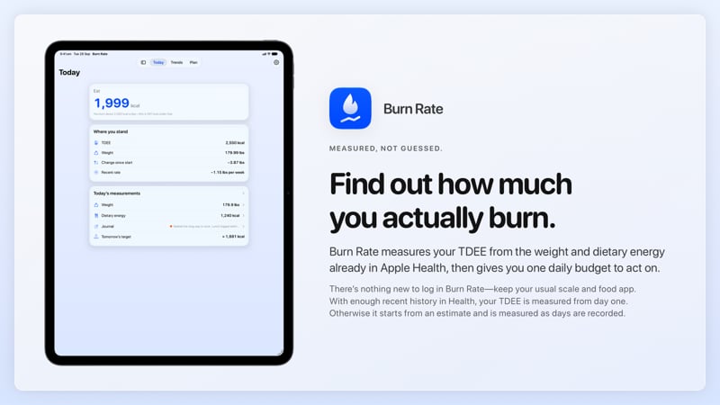 The Burn Rate share image, showing the app on iPad Pro 13-inch with its icon, name and headline for the loss story, in the Blue tint, light appearance.