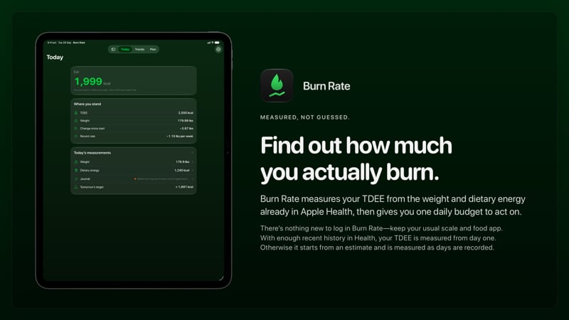 The Burn Rate share image, showing the app on iPad Pro 13-inch with its icon, name and headline for the loss story, in the Green tint, dark appearance.