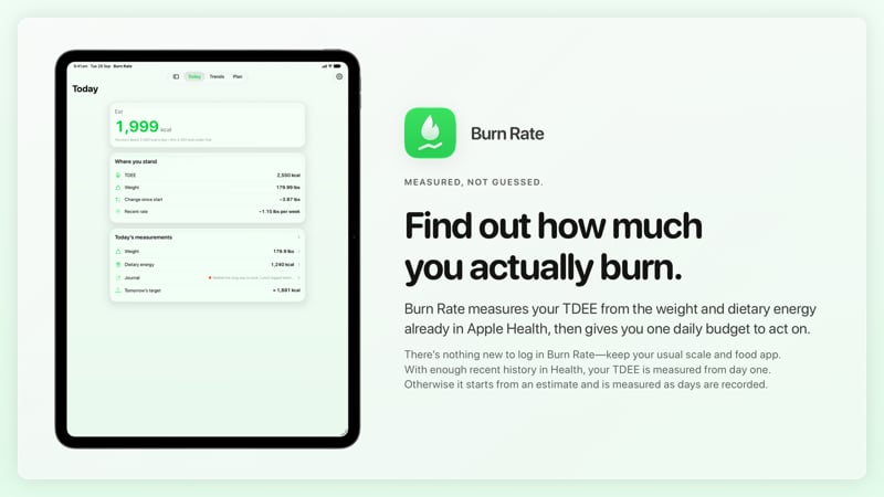 The Burn Rate share image, showing the app on iPad Pro 13-inch with its icon, name and headline for the loss story, in the Green tint, light appearance.