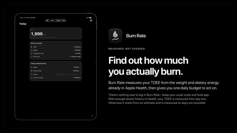 The Burn Rate share image, showing the app on iPad Pro 13-inch with its icon, name and headline for the loss story, in the Grey tint, dark appearance.