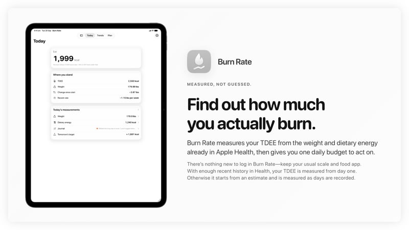 The Burn Rate share image, showing the app on iPad Pro 13-inch with its icon, name and headline for the loss story, in the Grey tint, light appearance.