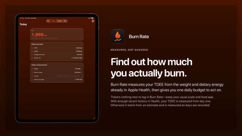 The Burn Rate share image, showing the app on iPad Pro 13-inch with its icon, name and headline for the loss story, in the Orange tint, dark appearance.