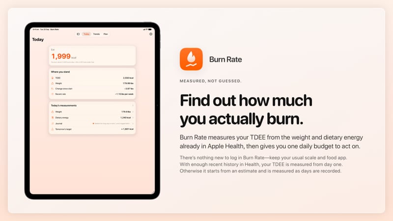 The Burn Rate share image, showing the app on iPad Pro 13-inch with its icon, name and headline for the loss story, in the Orange tint, light appearance.