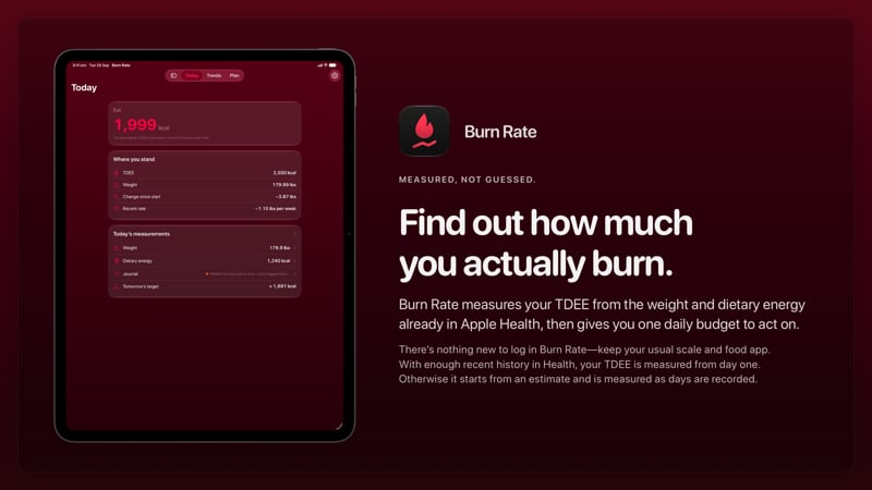 The Burn Rate share image, showing the app on iPad Pro 13-inch with its icon, name and headline for the loss story, in the Pink tint, dark appearance.