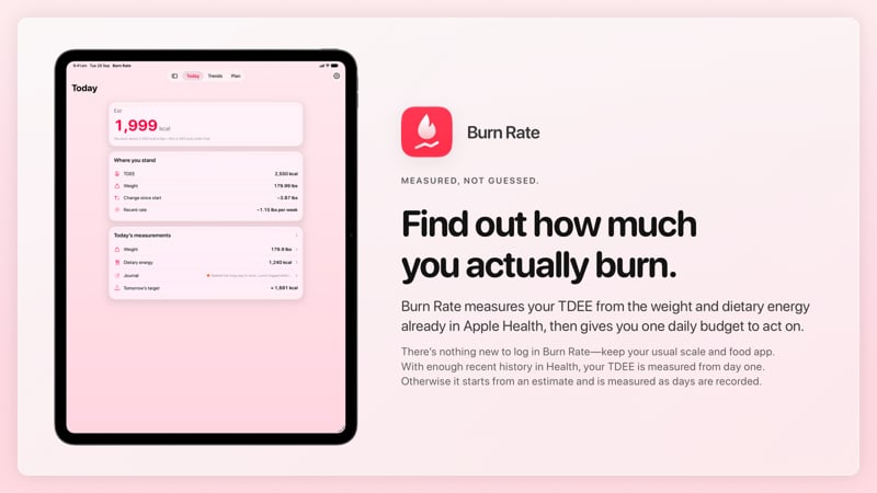 The Burn Rate share image, showing the app on iPad Pro 13-inch with its icon, name and headline for the loss story, in the Pink tint, light appearance.