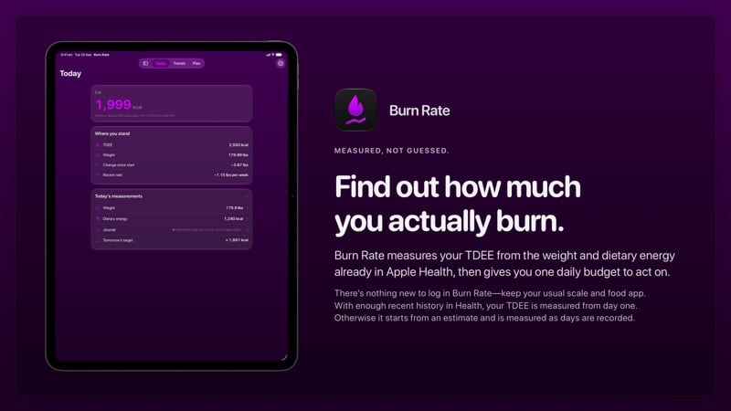 The Burn Rate share image, showing the app on iPad Pro 13-inch with its icon, name and headline for the loss story, in the Purple tint, dark appearance.