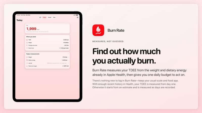 The Burn Rate share image, showing the app on iPad Pro 13-inch with its icon, name and headline for the loss story, in the Red tint, light appearance.