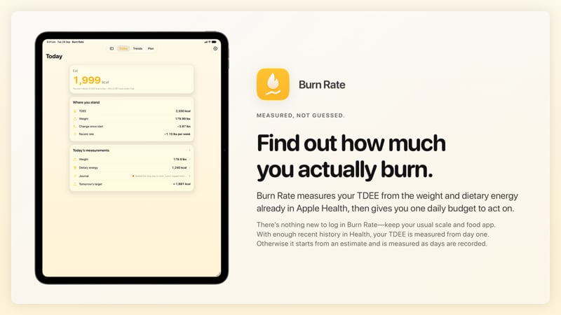 The Burn Rate share image, showing the app on iPad Pro 13-inch with its icon, name and headline for the loss story, in the Yellow tint, light appearance.