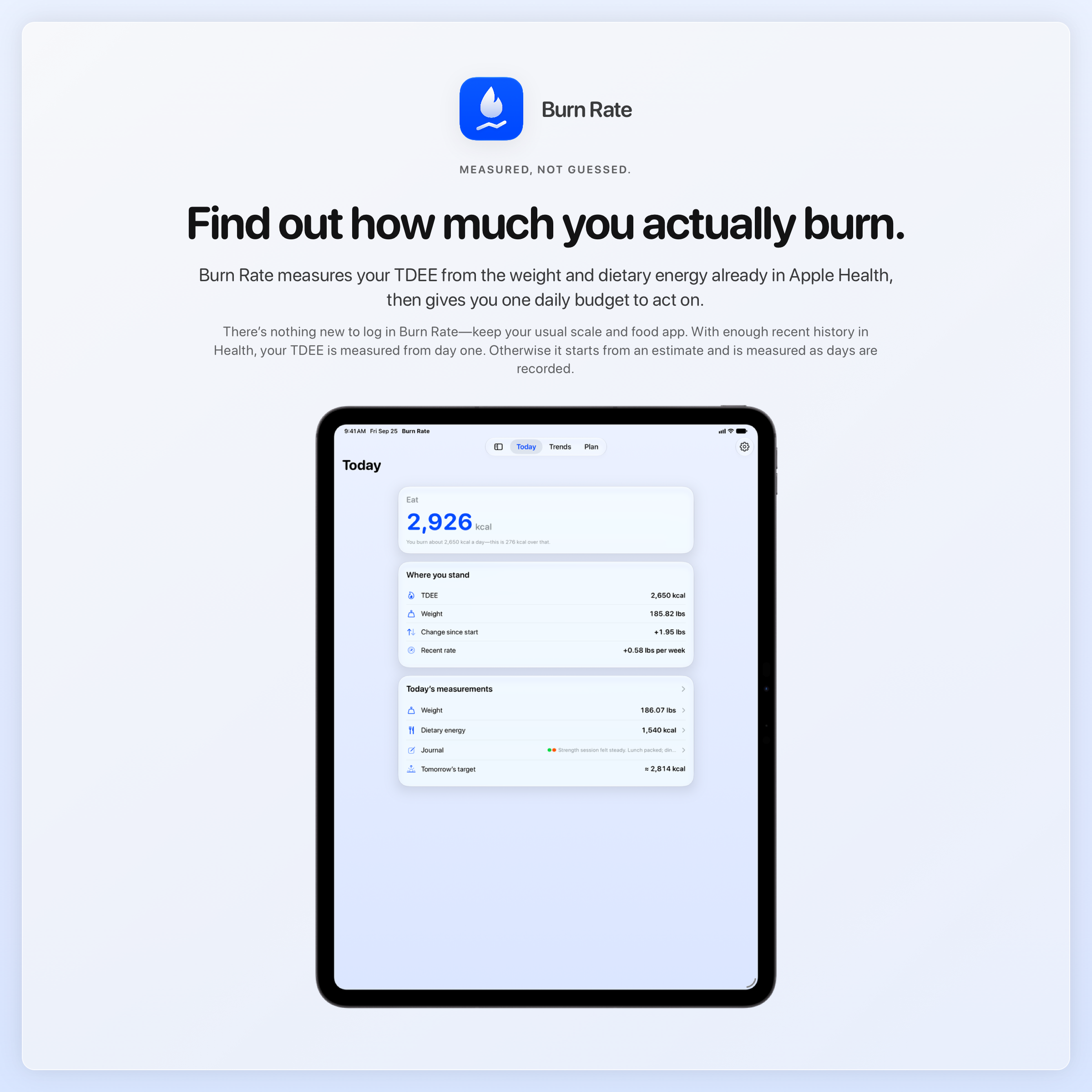 The Burn Rate share image, showing the app on iPad Pro 13-inch with its icon, name and headline for the gain story, in the Blue tint, light appearance.