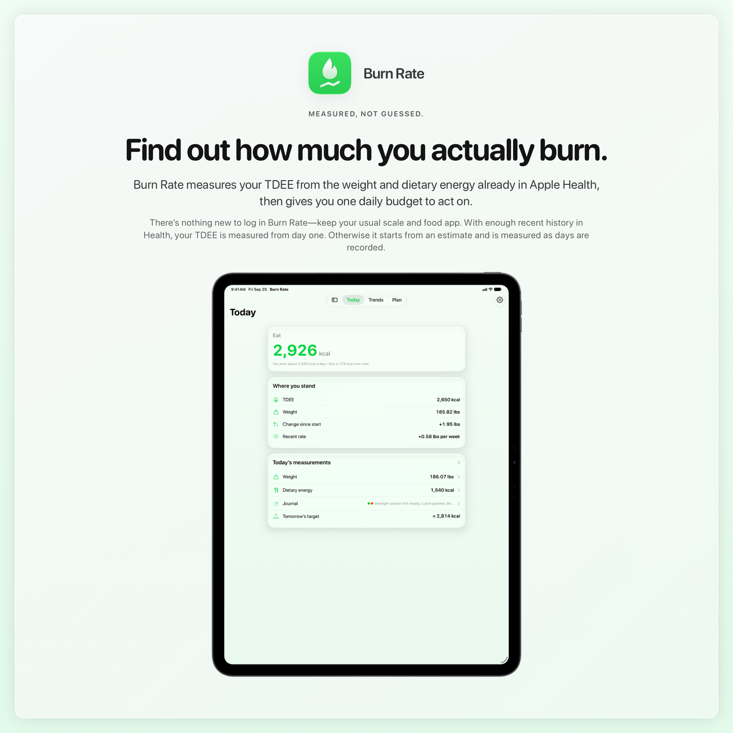 The Burn Rate share image, showing the app on iPad Pro 13-inch with its icon, name and headline for the gain story, in the Green tint, light appearance.