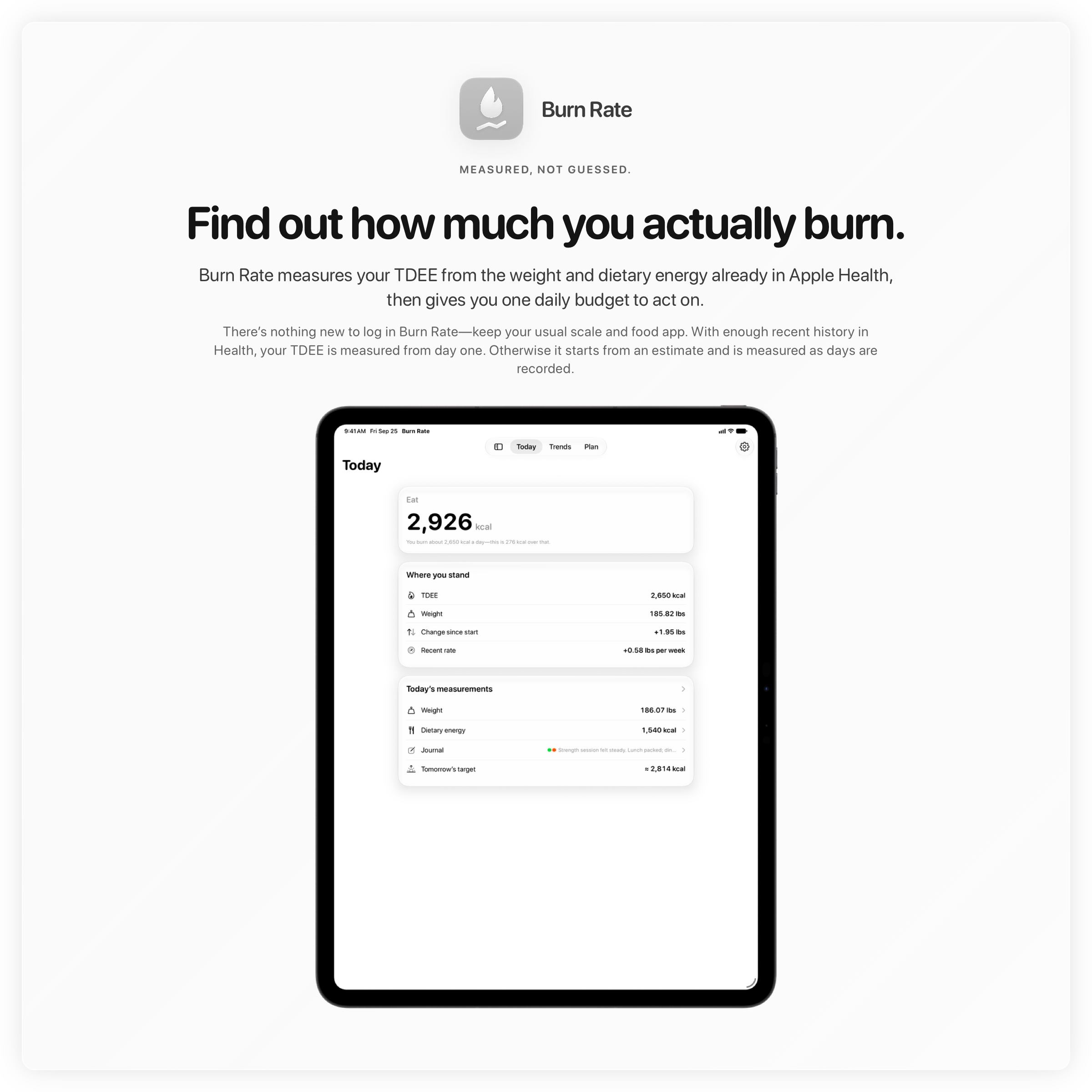 The Burn Rate share image, showing the app on iPad Pro 13-inch with its icon, name and headline for the gain story, in the Grey tint, light appearance.