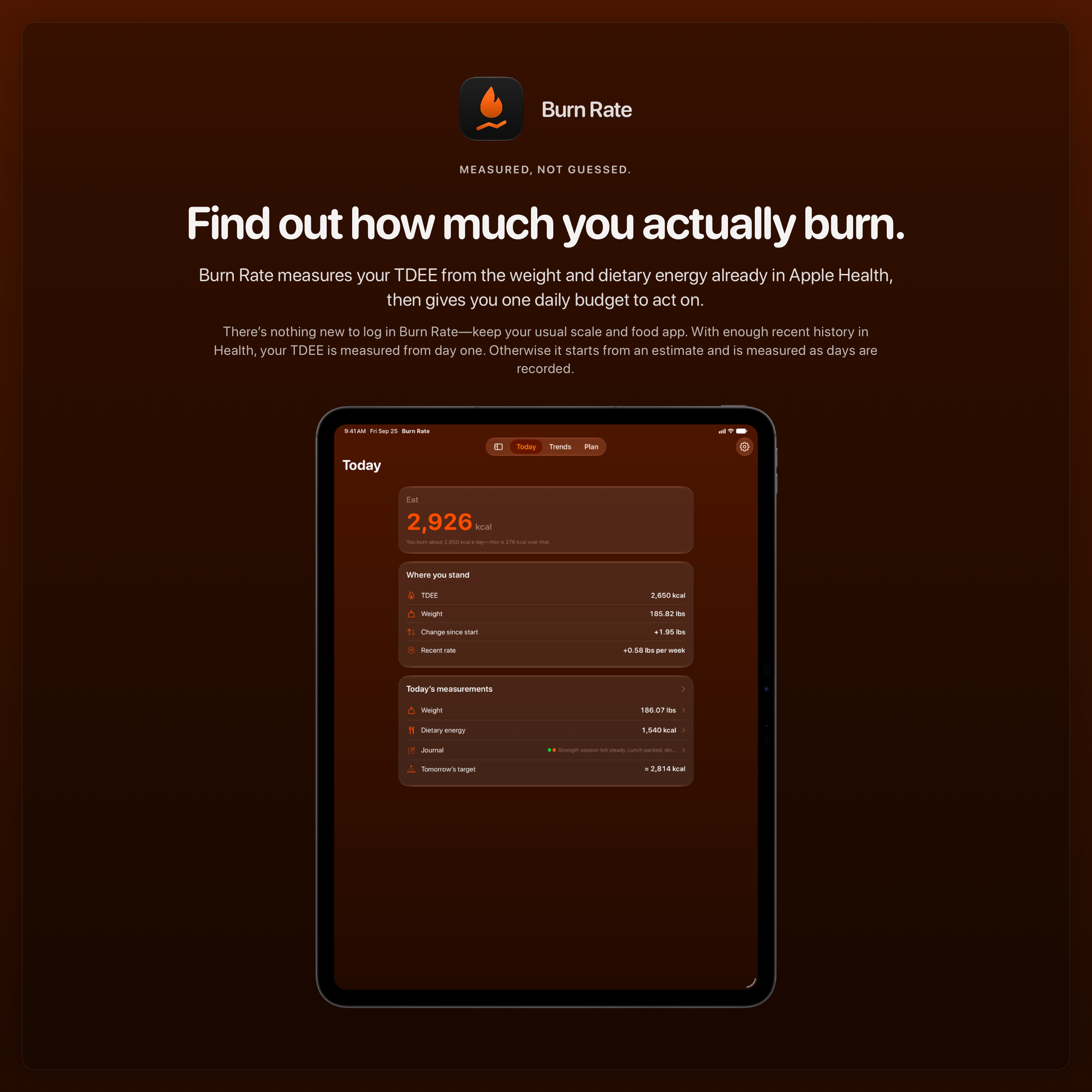The Burn Rate share image, showing the app on iPad Pro 13-inch with its icon, name and headline for the gain story, in the Orange tint, dark appearance.