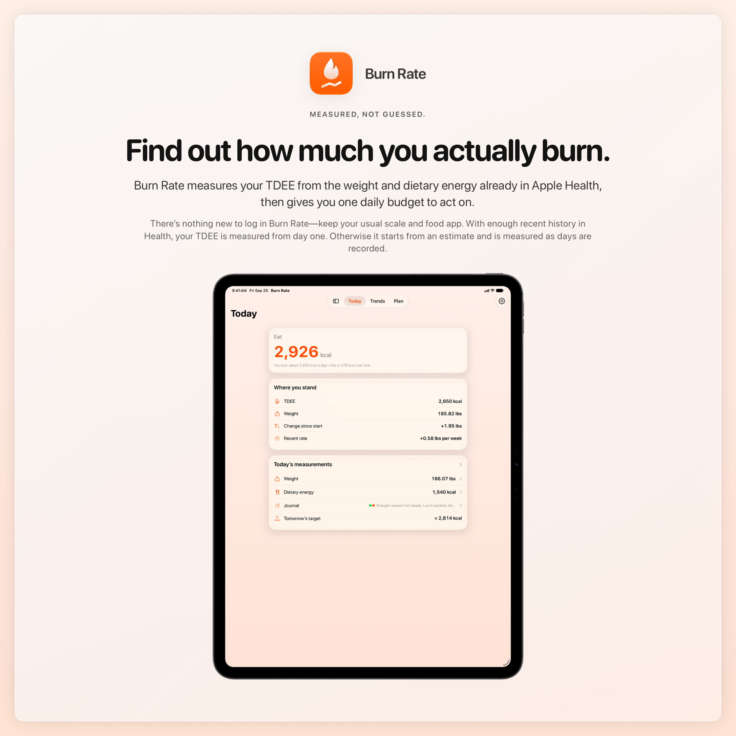The Burn Rate share image, showing the app on iPad Pro 13-inch with its icon, name and headline for the gain story, in the Orange tint, light appearance.