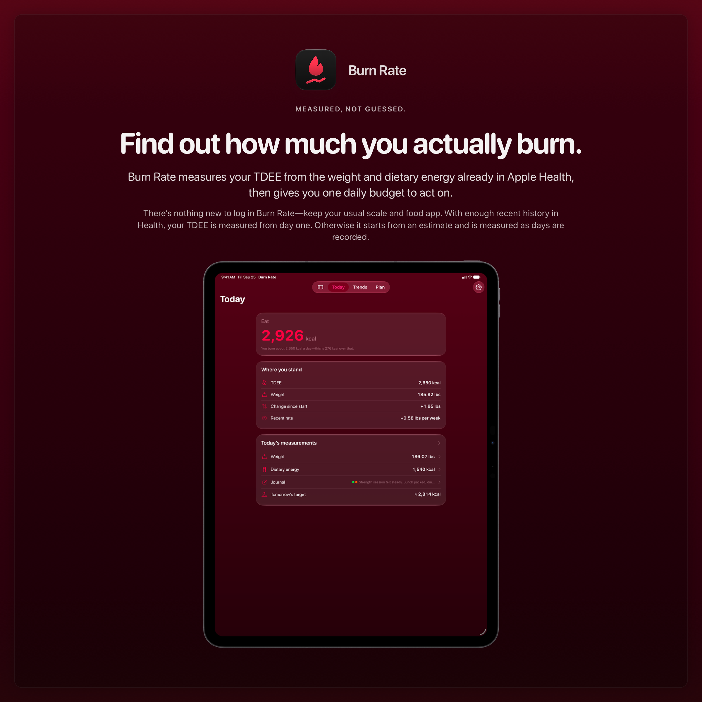 The Burn Rate share image, showing the app on iPad Pro 13-inch with its icon, name and headline for the gain story, in the Pink tint, dark appearance.