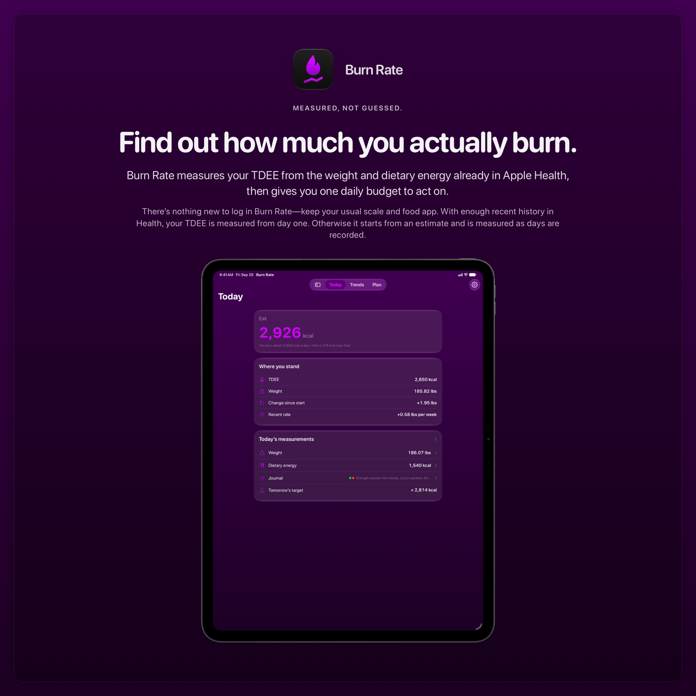 The Burn Rate share image, showing the app on iPad Pro 13-inch with its icon, name and headline for the gain story, in the Purple tint, dark appearance.