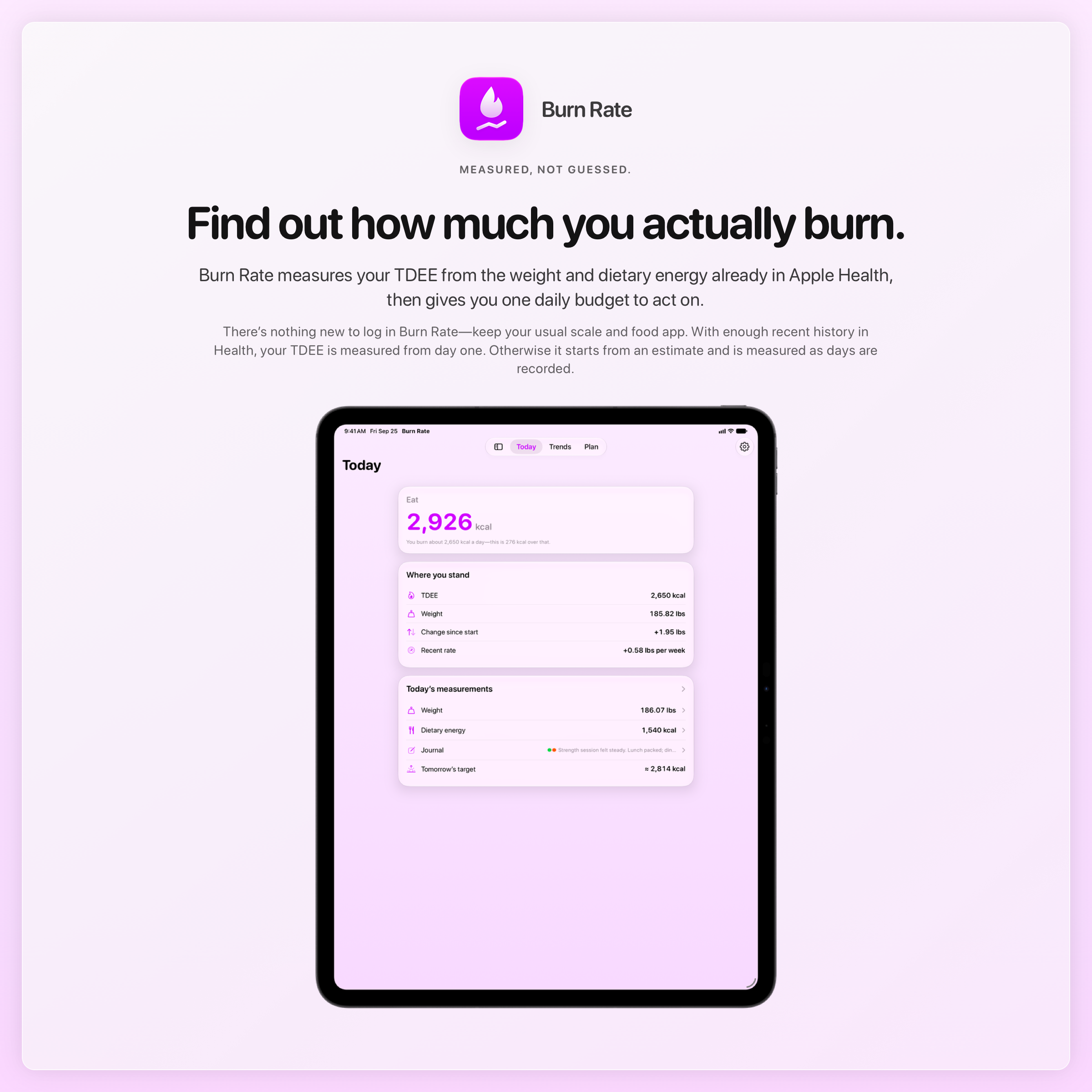 The Burn Rate share image, showing the app on iPad Pro 13-inch with its icon, name and headline for the gain story, in the Purple tint, light appearance.