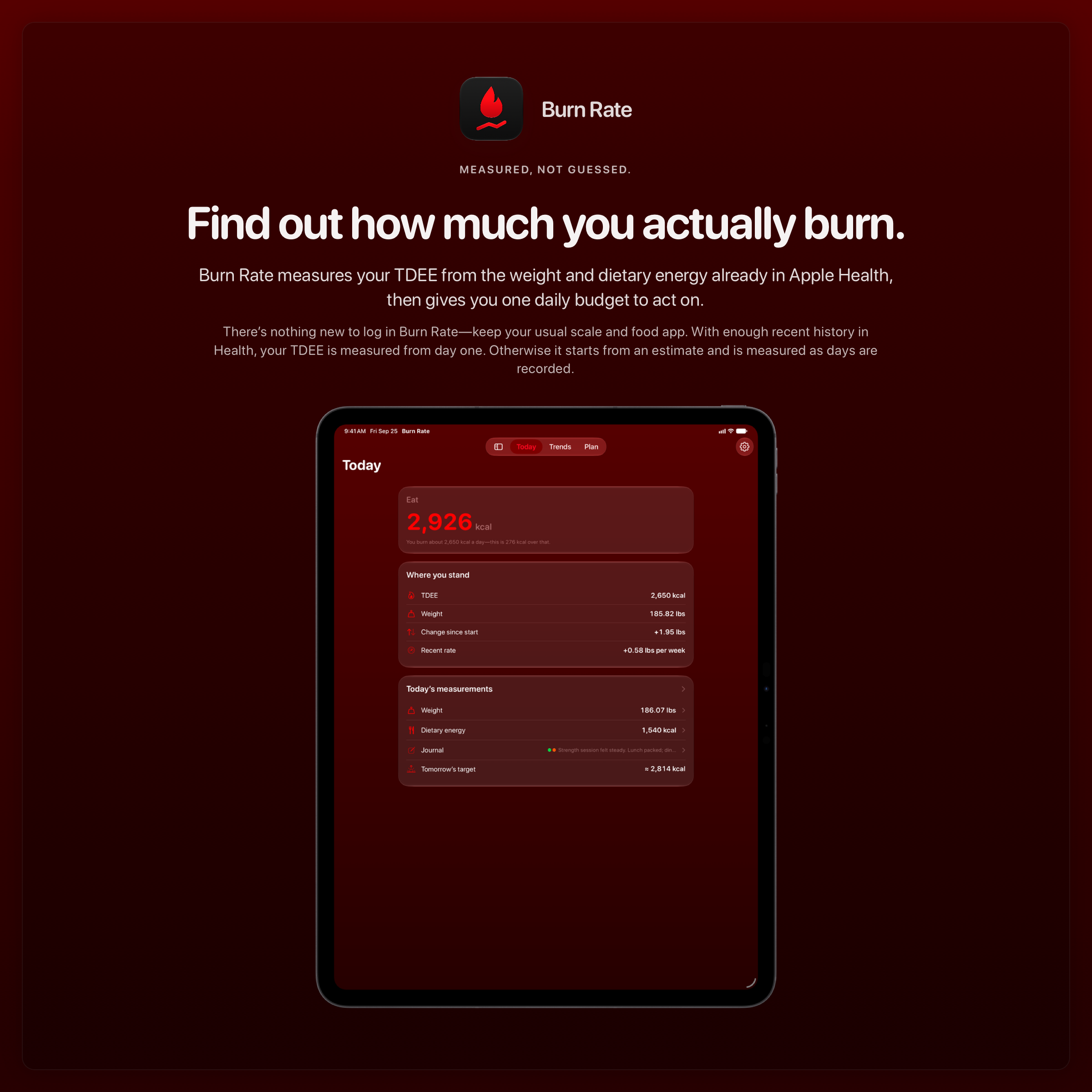 The Burn Rate share image, showing the app on iPad Pro 13-inch with its icon, name and headline for the gain story, in the Red tint, dark appearance.
