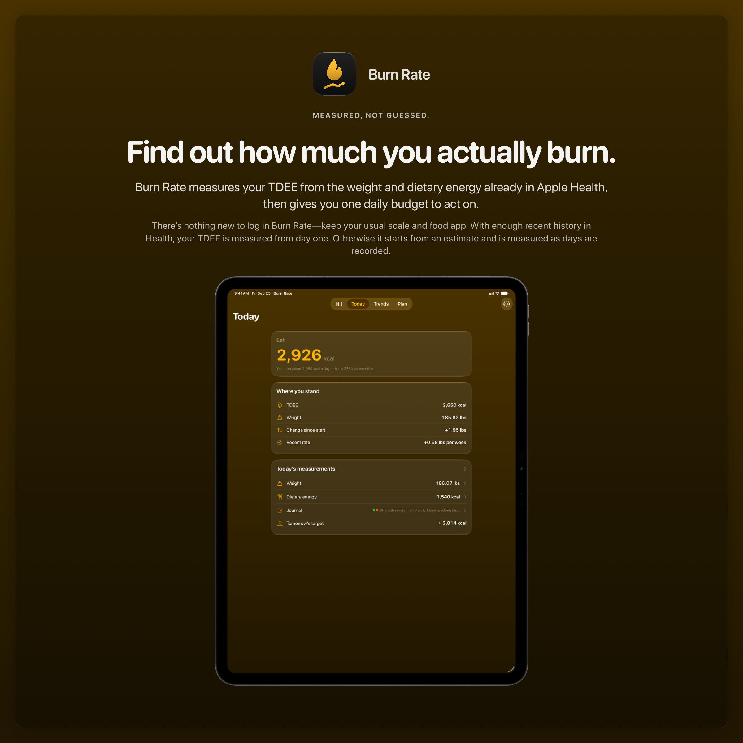 The Burn Rate share image, showing the app on iPad Pro 13-inch with its icon, name and headline for the gain story, in the Yellow tint, dark appearance.