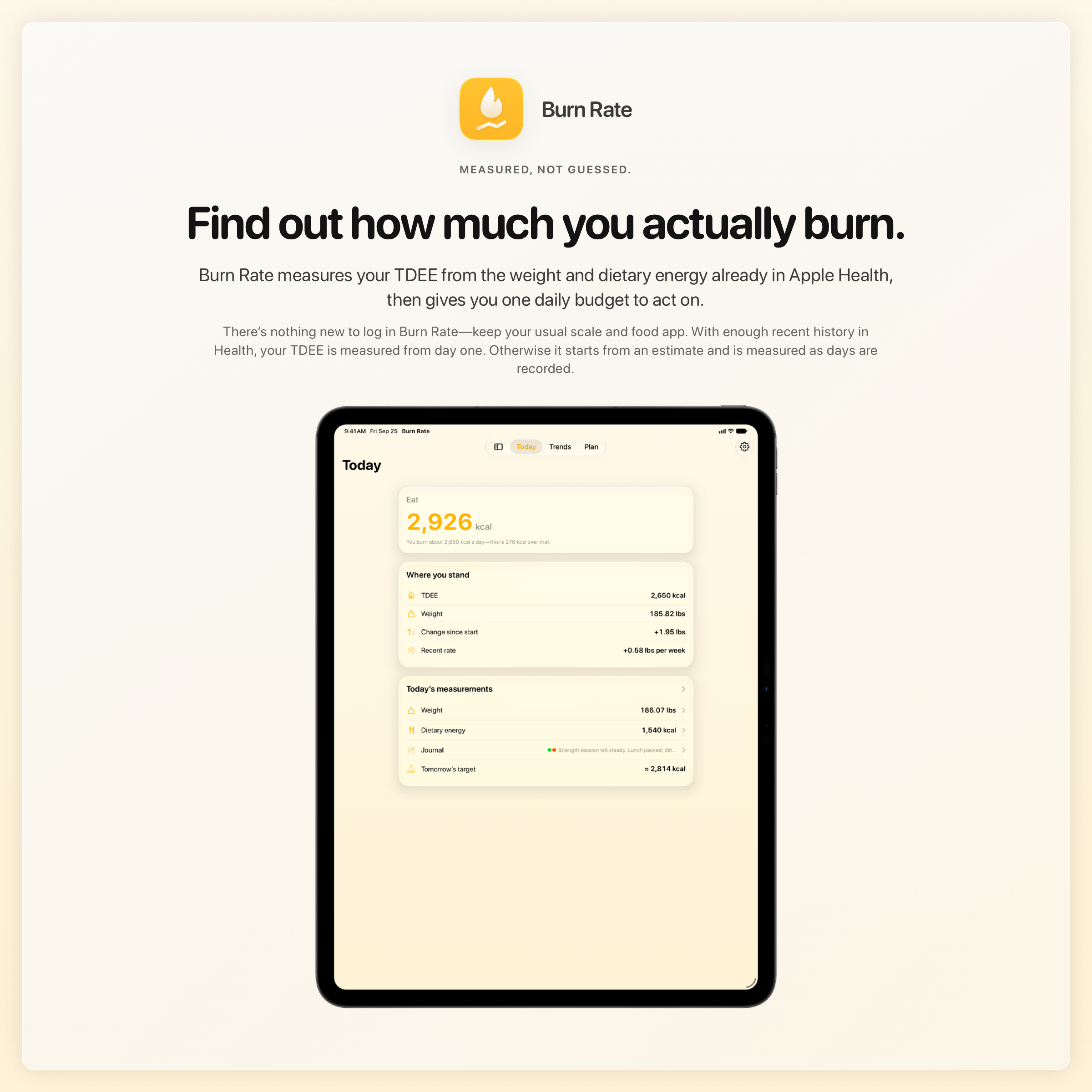The Burn Rate share image, showing the app on iPad Pro 13-inch with its icon, name and headline for the gain story, in the Yellow tint, light appearance.