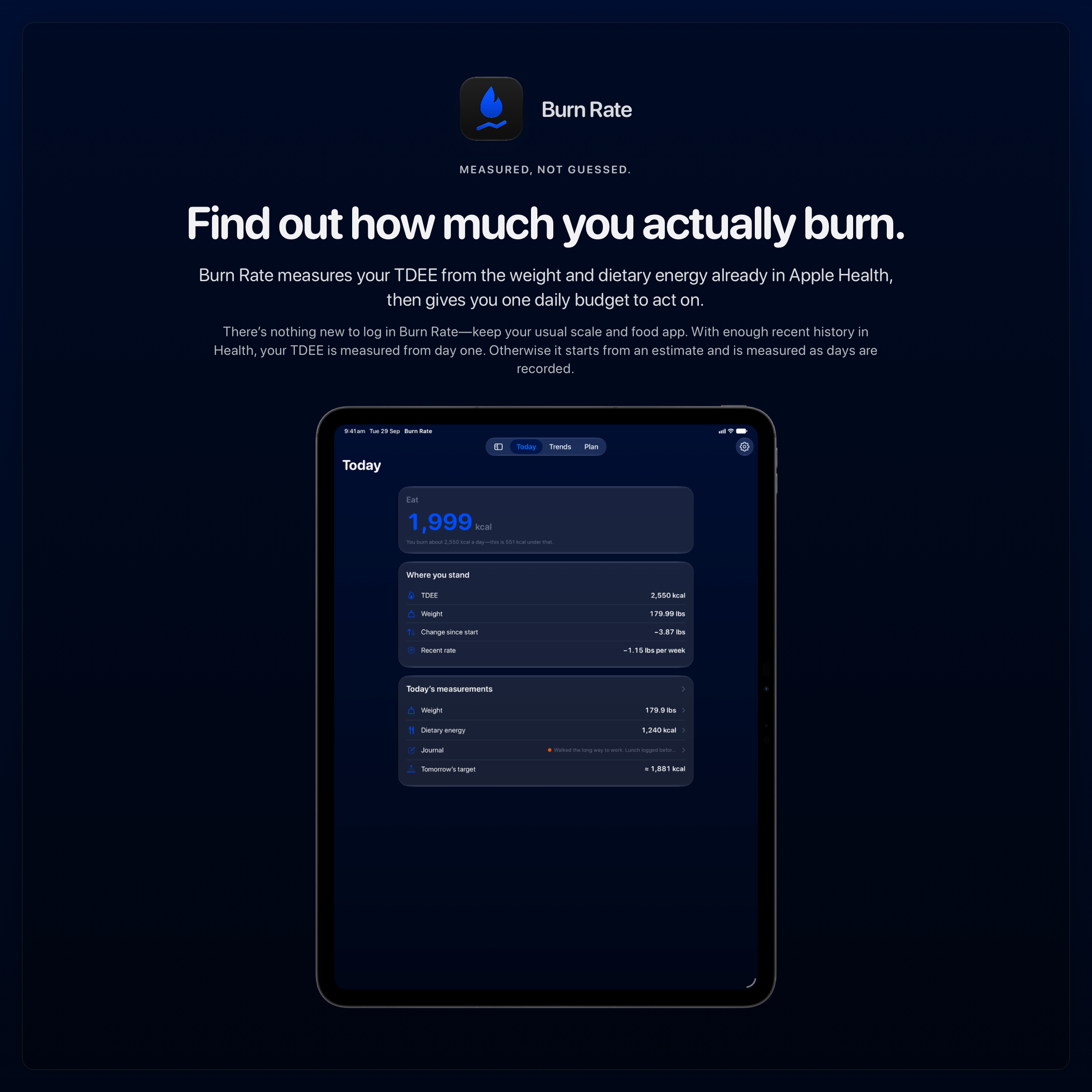 The Burn Rate share image, showing the app on iPad Pro 13-inch with its icon, name and headline for the loss story, in the Blue tint, dark appearance.