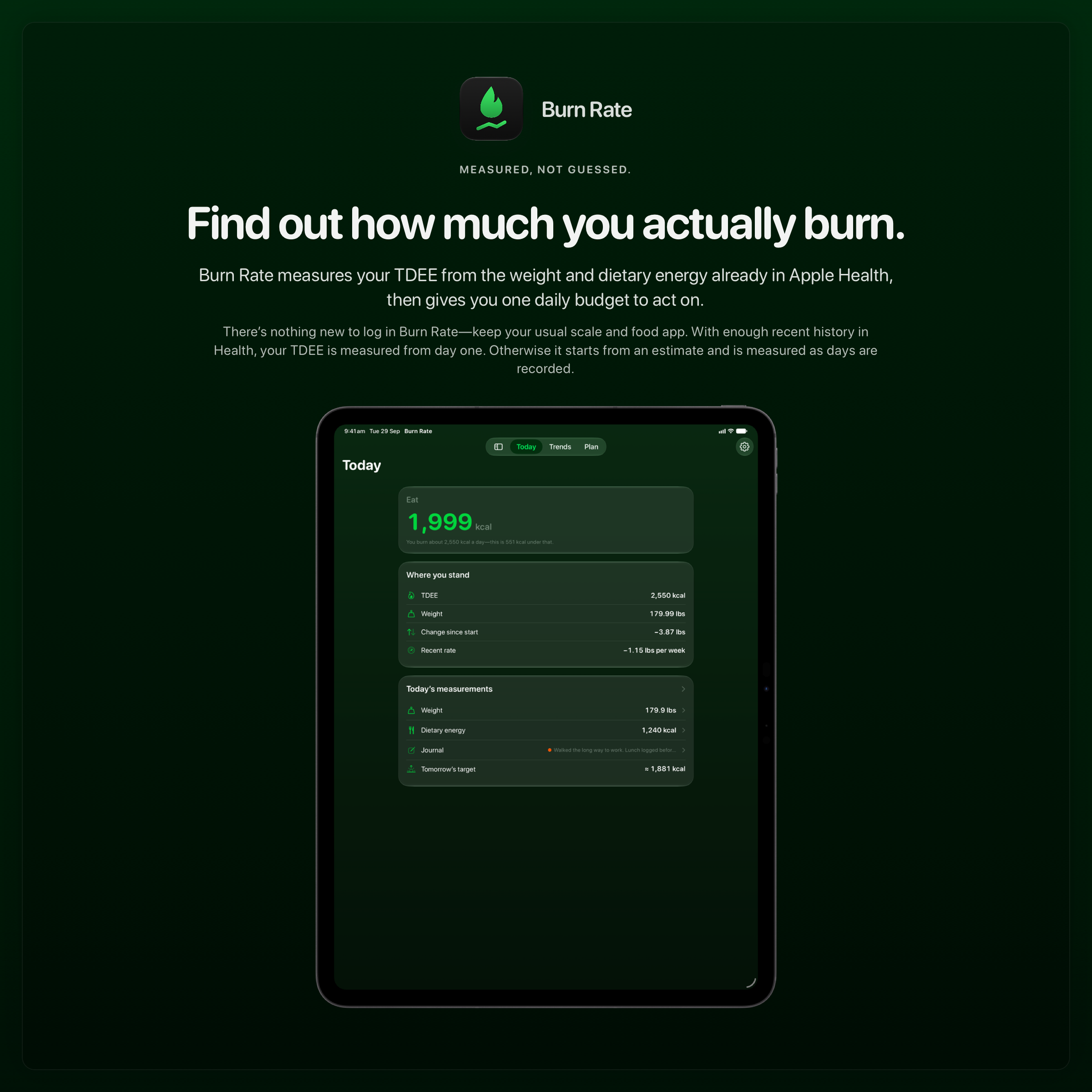 The Burn Rate share image, showing the app on iPad Pro 13-inch with its icon, name and headline for the loss story, in the Green tint, dark appearance.