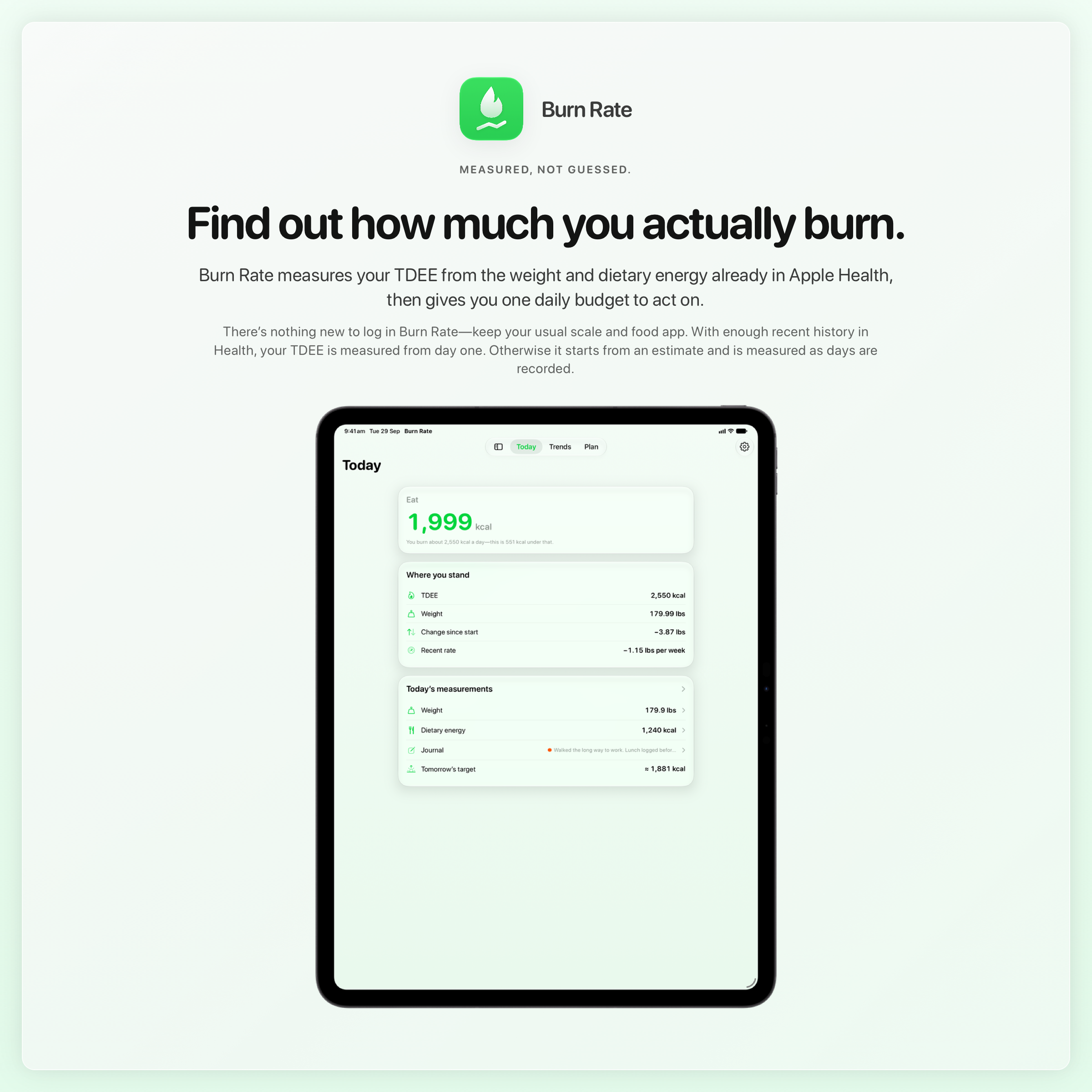 The Burn Rate share image, showing the app on iPad Pro 13-inch with its icon, name and headline for the loss story, in the Green tint, light appearance.