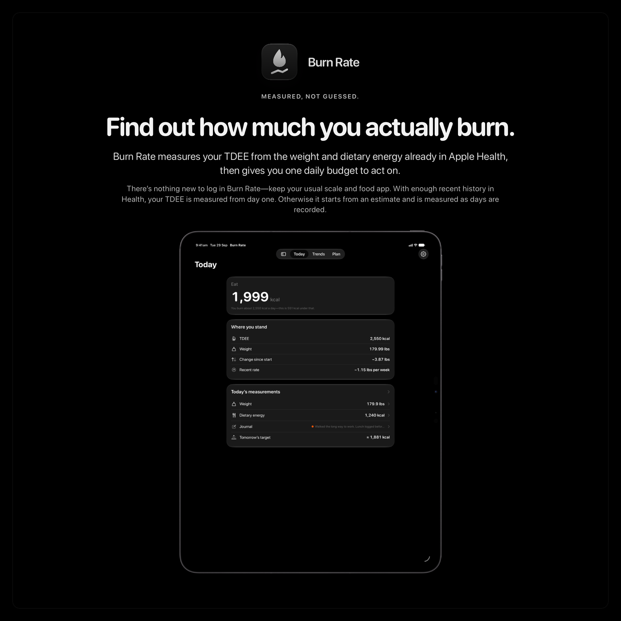 The Burn Rate share image, showing the app on iPad Pro 13-inch with its icon, name and headline for the loss story, in the Grey tint, dark appearance.