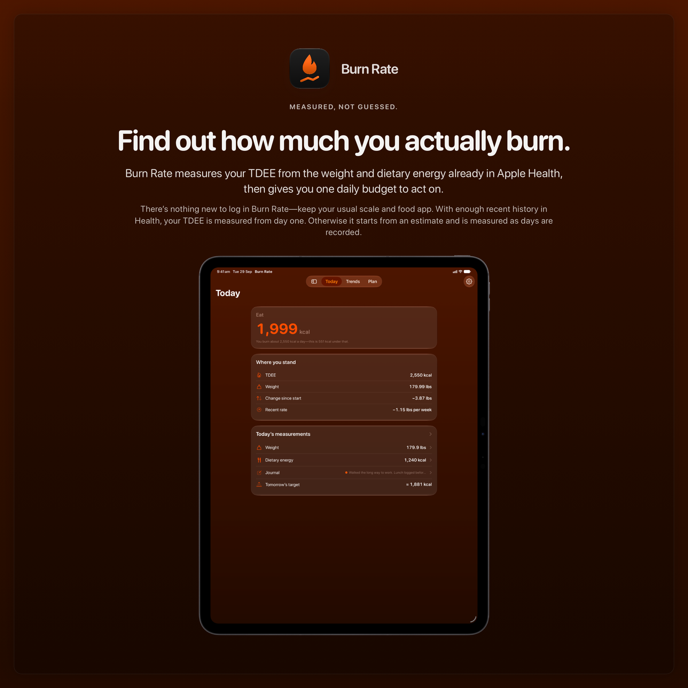 The Burn Rate share image, showing the app on iPad Pro 13-inch with its icon, name and headline for the loss story, in the Orange tint, dark appearance.