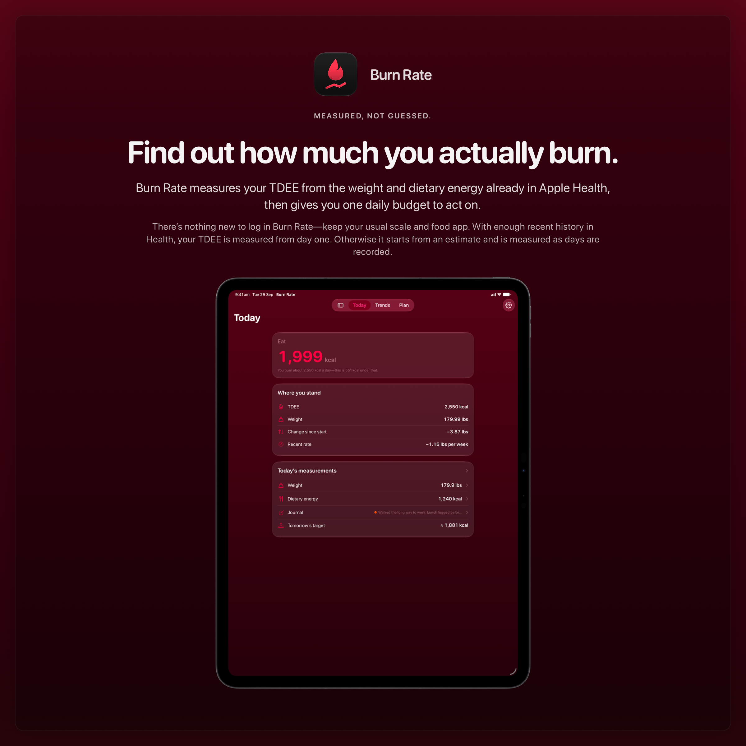 The Burn Rate share image, showing the app on iPad Pro 13-inch with its icon, name and headline for the loss story, in the Pink tint, dark appearance.