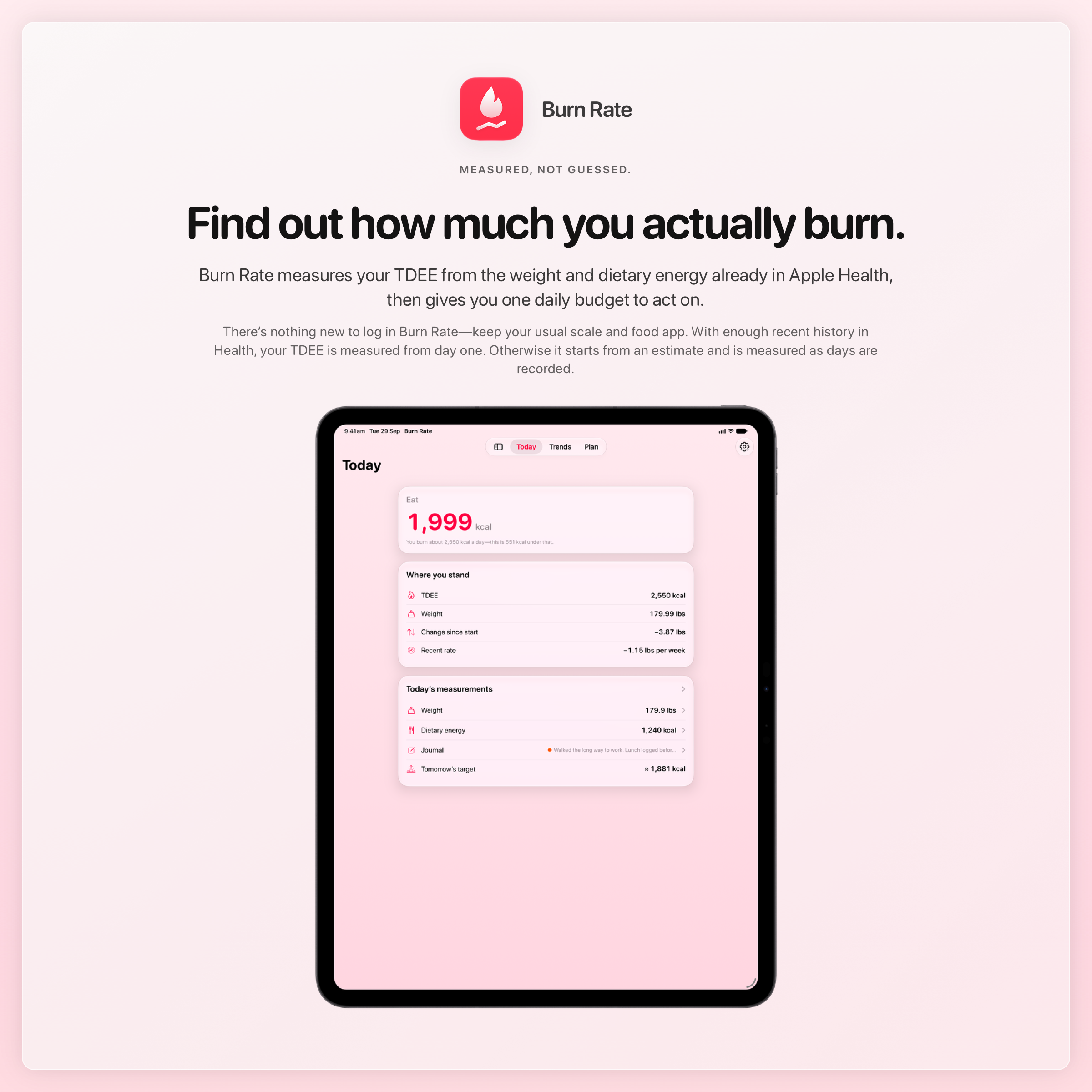 The Burn Rate share image, showing the app on iPad Pro 13-inch with its icon, name and headline for the loss story, in the Pink tint, light appearance.